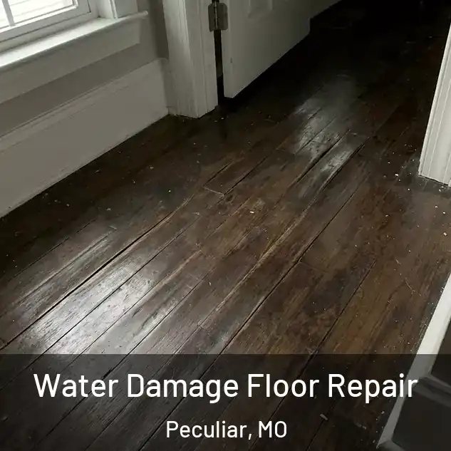  Water Damage Floor Repair Peculiar, MO