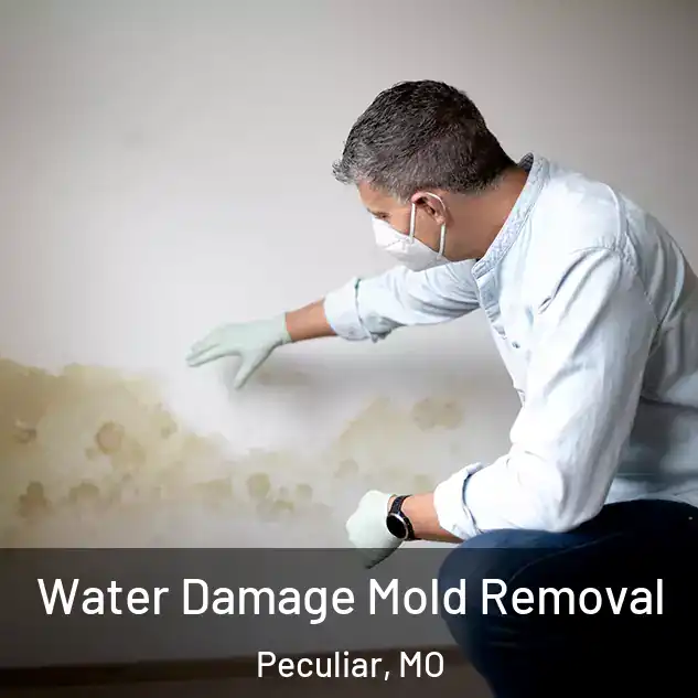  Water Damage Mold Removal Peculiar, MO