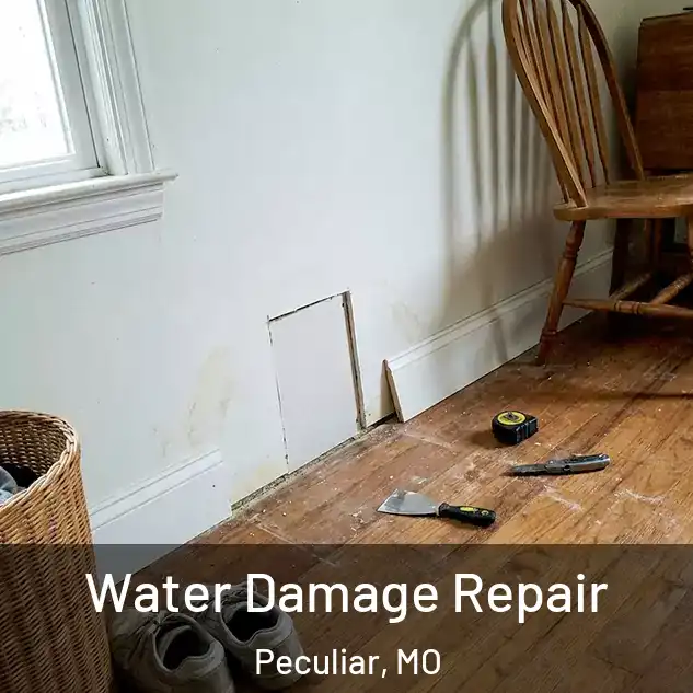  Water Damage Repair Peculiar, MO
