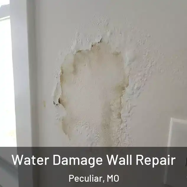 Water Damage Wall Repair Peculiar, MO
