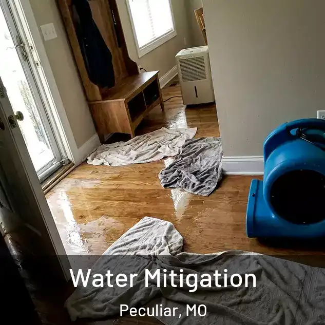  Water Mitigation Peculiar, MO