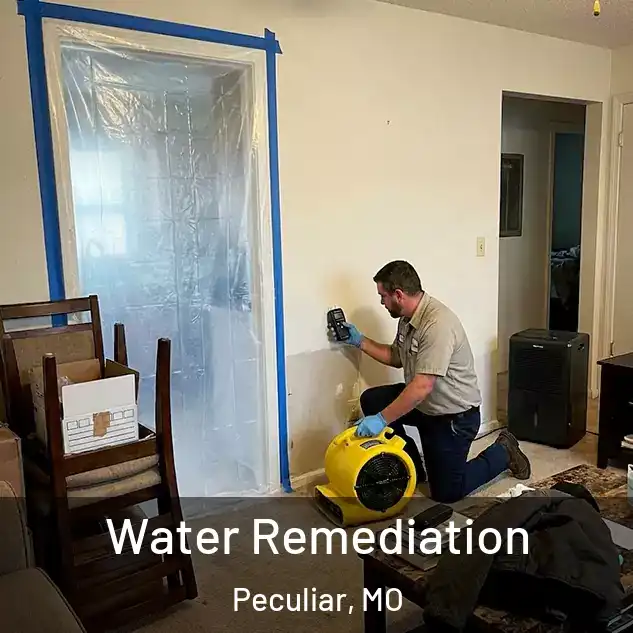 Water Remediation Peculiar, MO