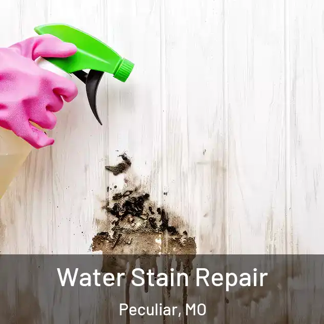  Water Stain Repair Peculiar, MO