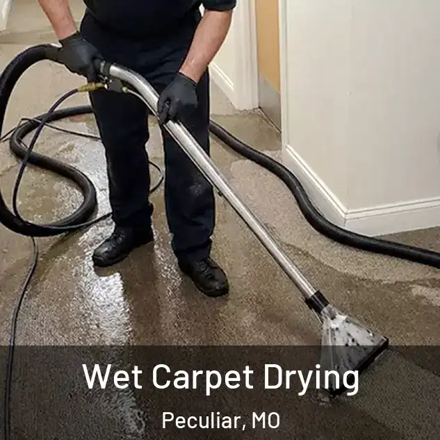  Wet Carpet Drying Peculiar, MO