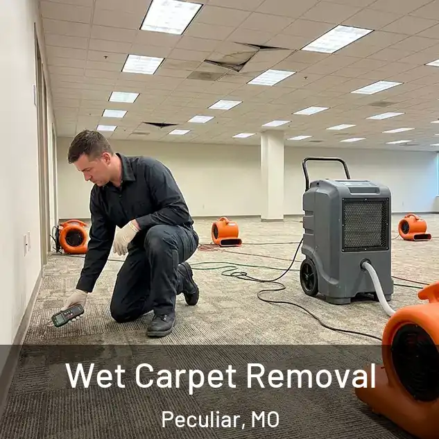  Wet Carpet Removal Peculiar, MO